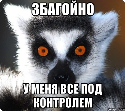 lemur_28229060_orig_.jpeg