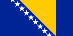 Flag_of_Bosnia_and_Herzegovina.svg.png