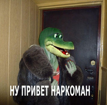 наркоман-штоле-упорот-в-душе-голуби-врачпсихолог-48069.jpeg