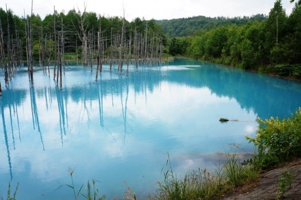 голубой пруд, Хокайдо.jpg