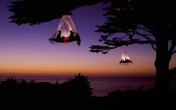 Кемпинг на деревьях, побережье Калифорнии..jpg