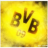 bvb09rf