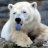 Bearish